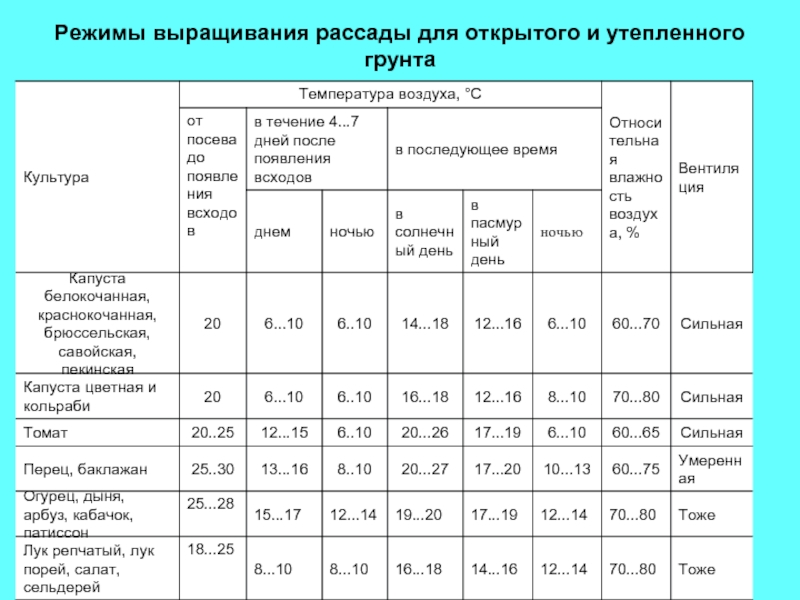 Посадка огурцов семенами в теплицу из поликарбоната: когда и как сажать, правила выращивания
