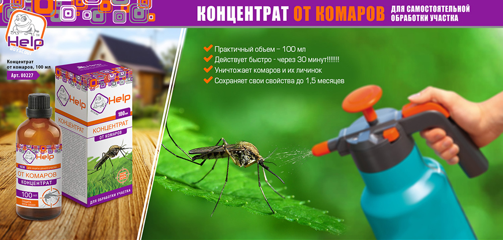 Как избавиться от комаров на дачном участке: выбираем самый эффективный метод