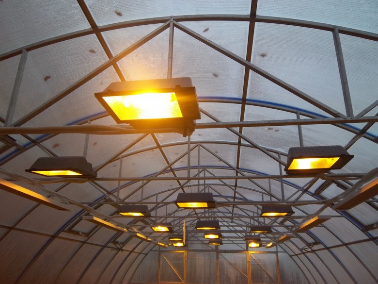 Освещение в теплице: нормы и требования, выбор типа ламп, нюансы (40 фото)