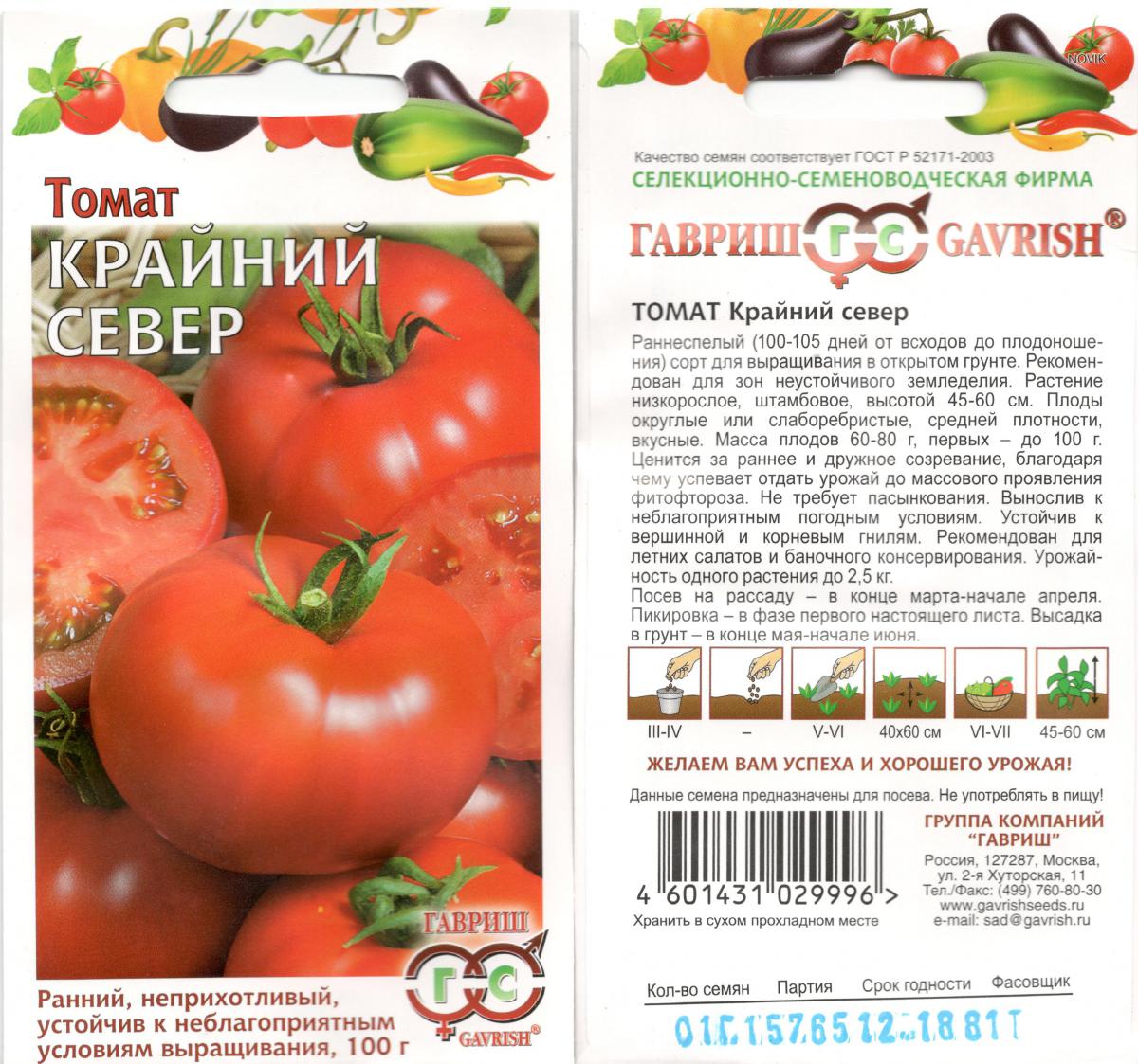 Томаты для северных районов: лучшие, урожайные сорта для открытого грунта и теплиц
