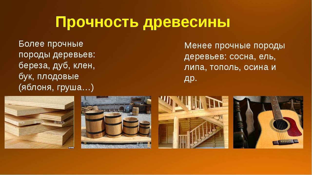 Как выбрать древесину для постройки дома - обзор пород древесины, рекомендации