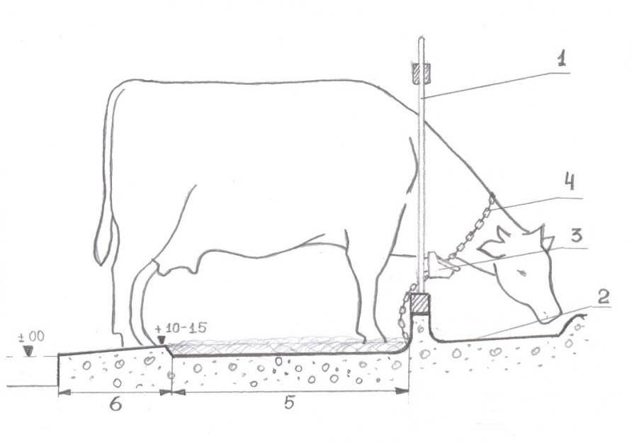 Кормушки для коров в сарае, на пастбище как сделать своими руками, размеры, виды и типы моделей, фото, видео