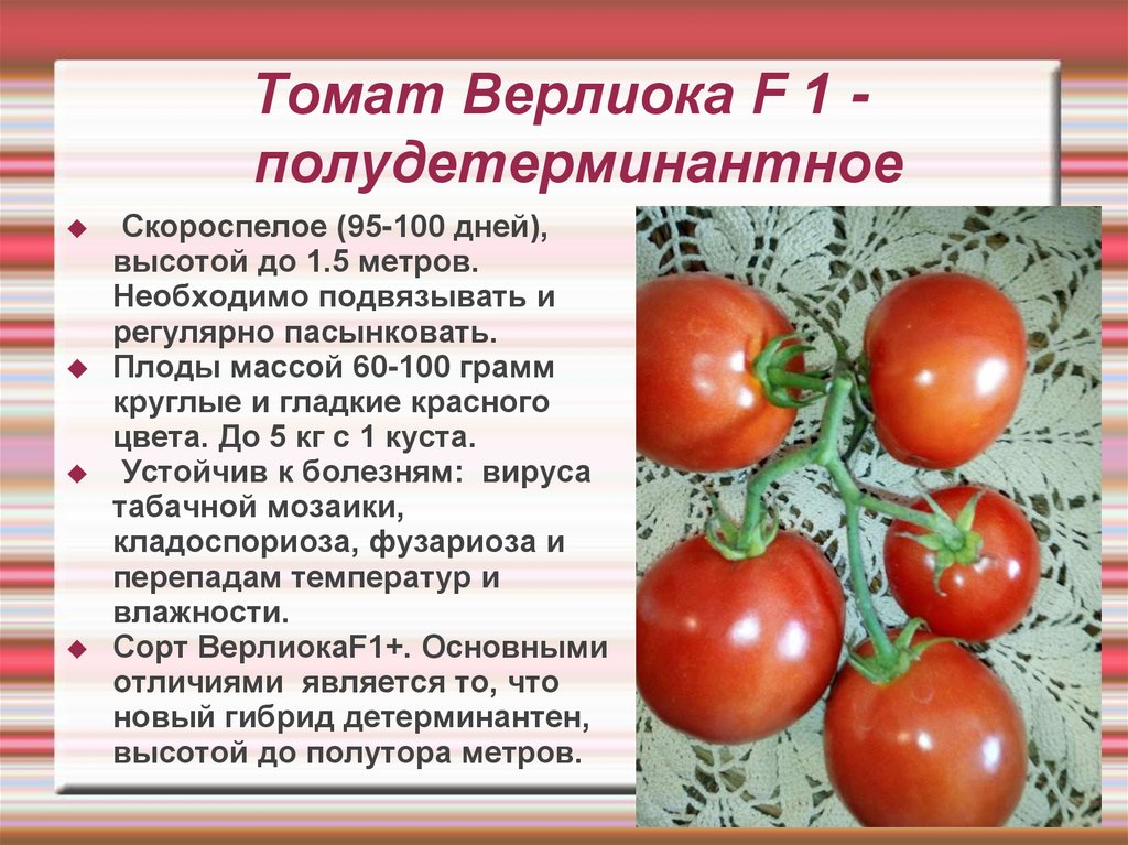 Детерминантные и индетерминантные сорта томатов что это и в чем разница