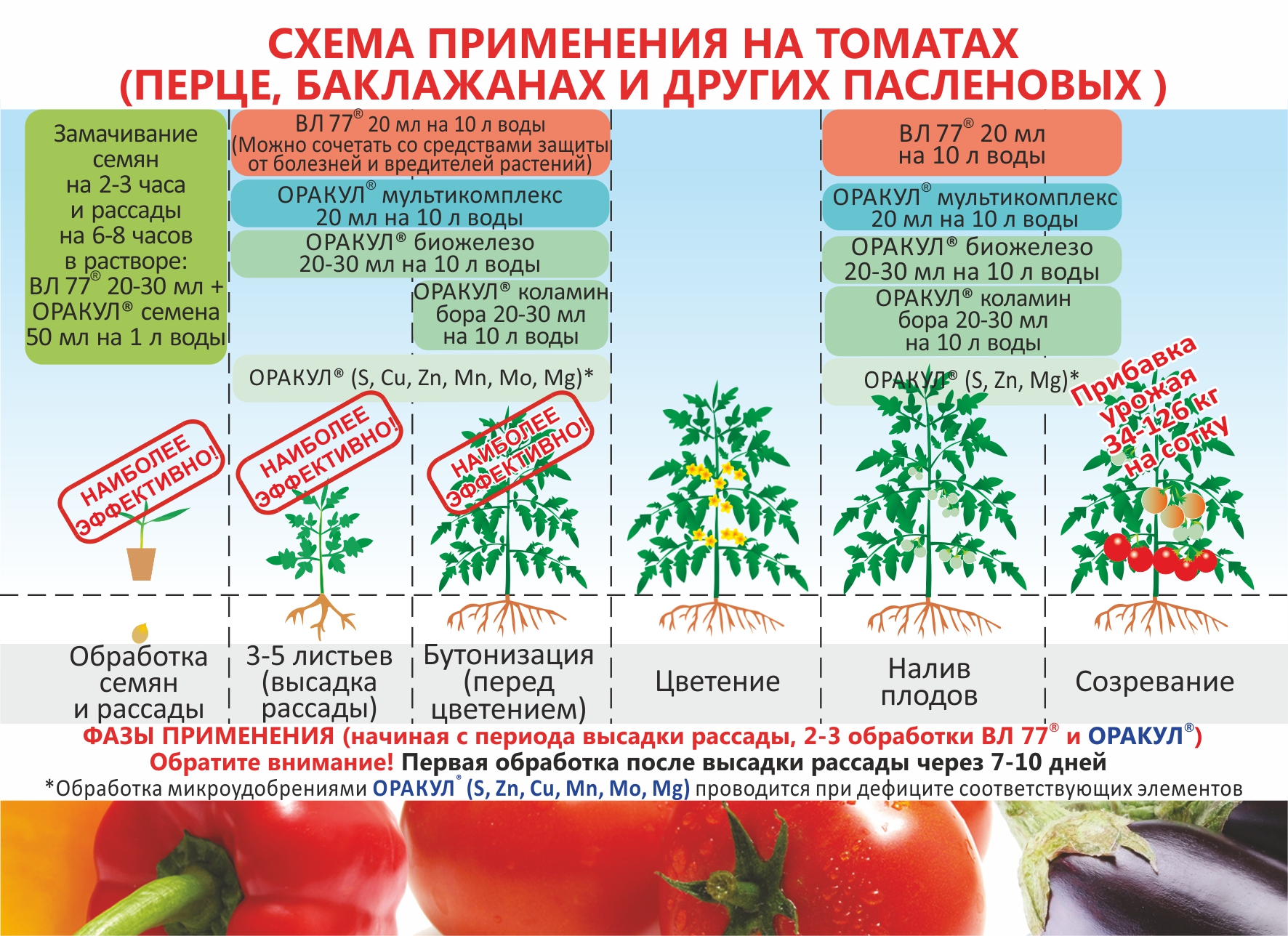 Почему не краснеют помидоры в теплице и открытом грунте