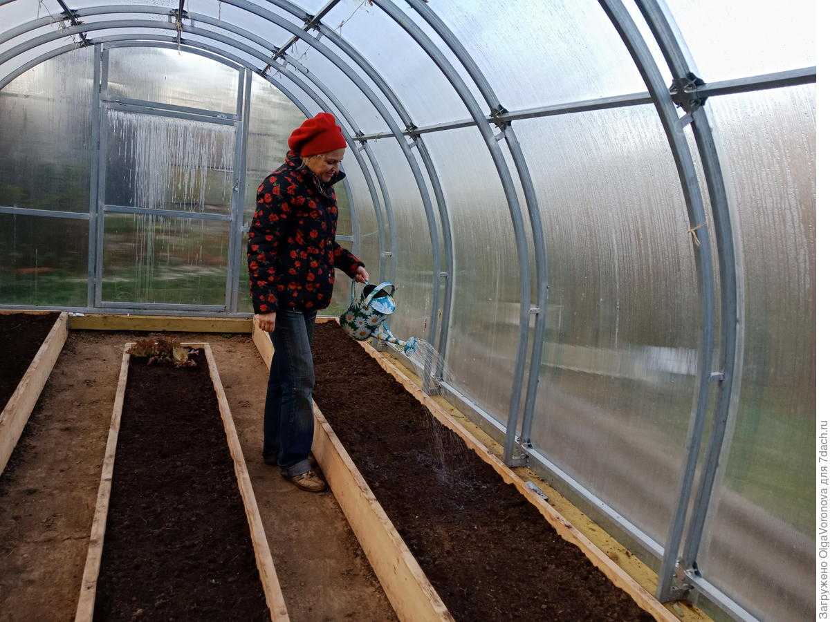Подготовка теплицы из поликарбоната весной к посадке томатов с видео подготовка почвы весной