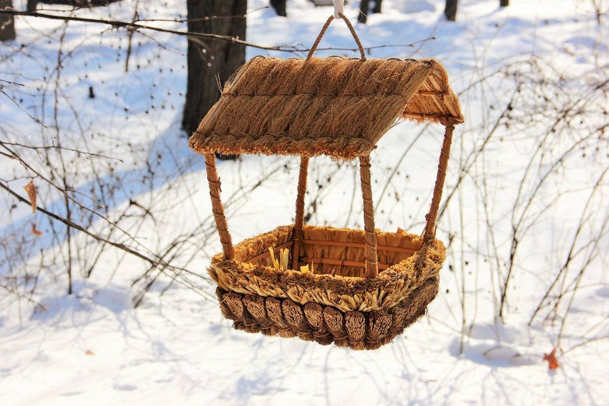 Кормушка для диких птиц: варианты, чертежи, чем наполнить и для кого?