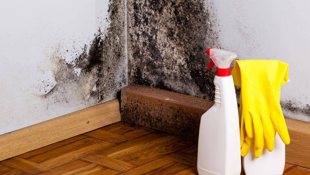 Как избавиться от запаха краски из помещения, квартиры и дома после ремонта