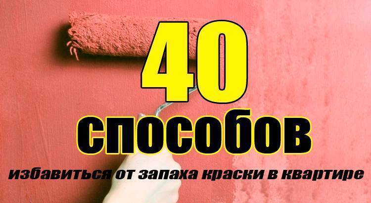 8 эффективных способов, как быстро и просто убрать запах краски в квартире