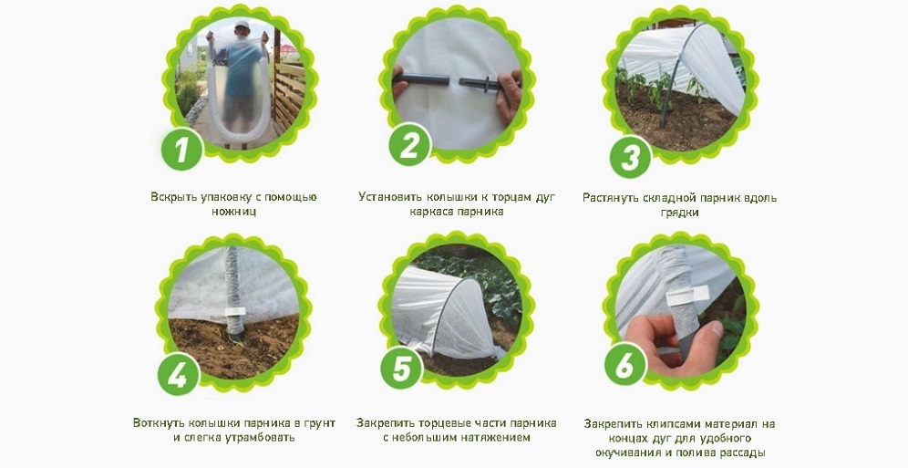 Парник подснежник: самостоятельная установка или как ускорить приход весны