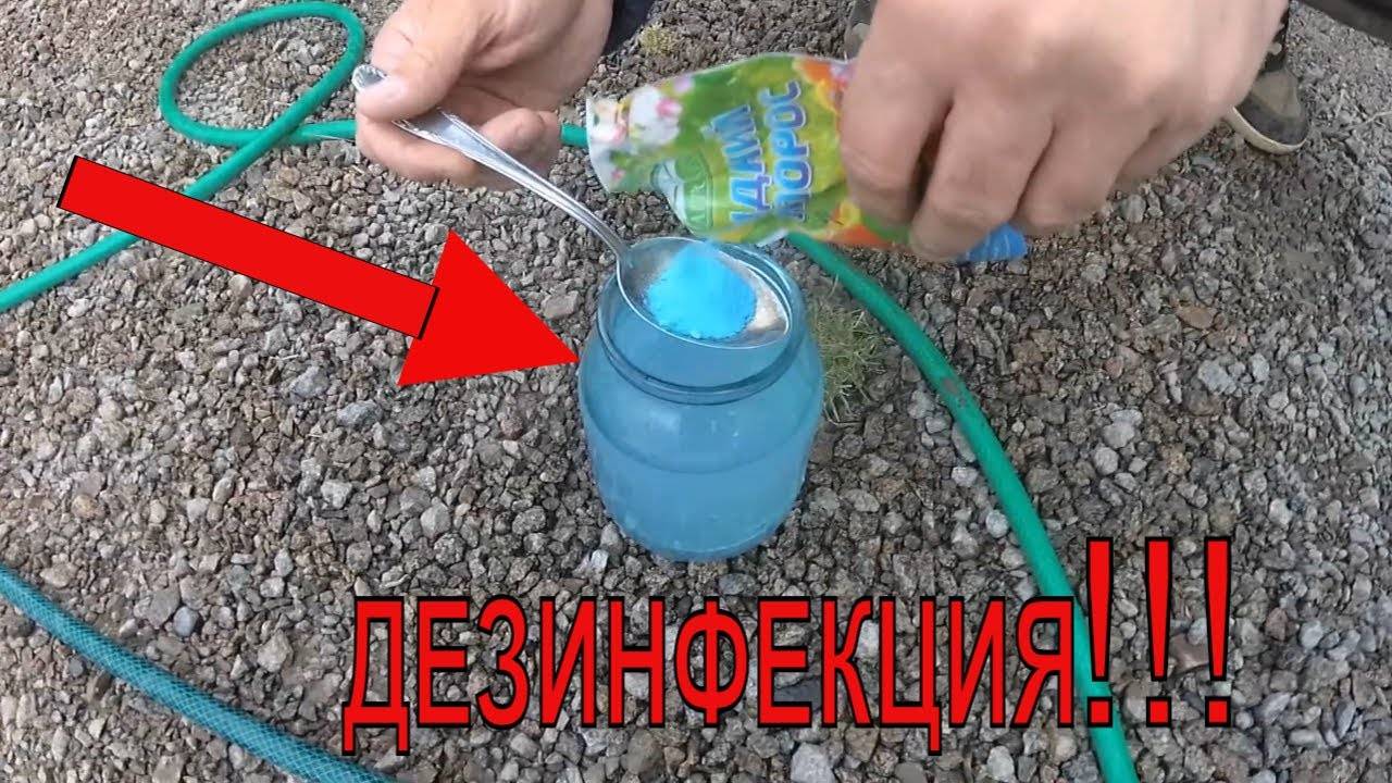 Медный купорос: применение в садоводстве и на огороде от болезней, правила обработки растений