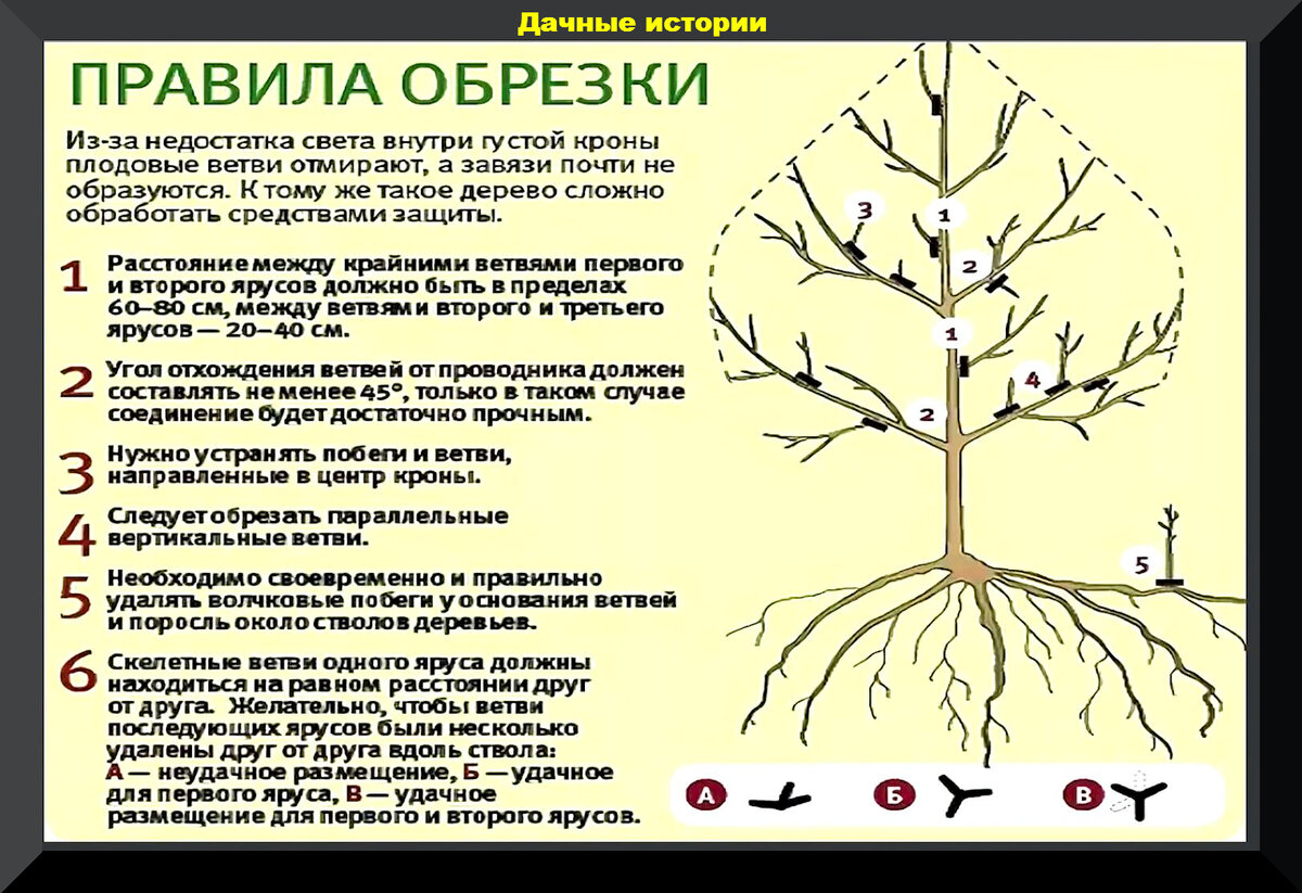 Весенняя обработка сада (пошаговый план работ+препараты)