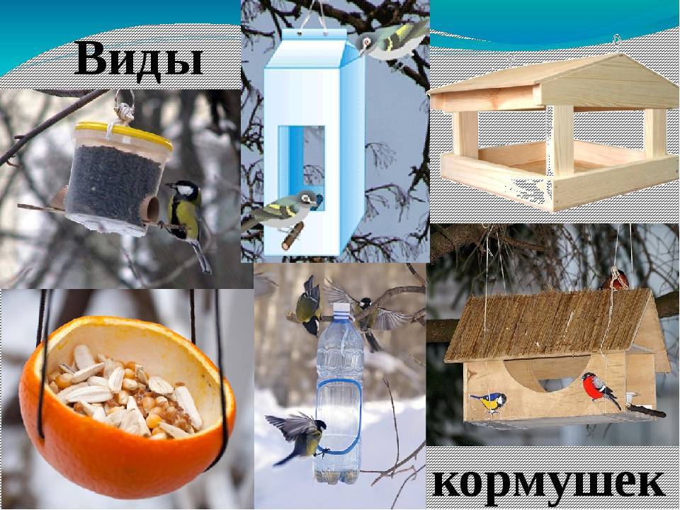 Кормушка для птиц своими руками – проекты и схемы, 80 лучших идей