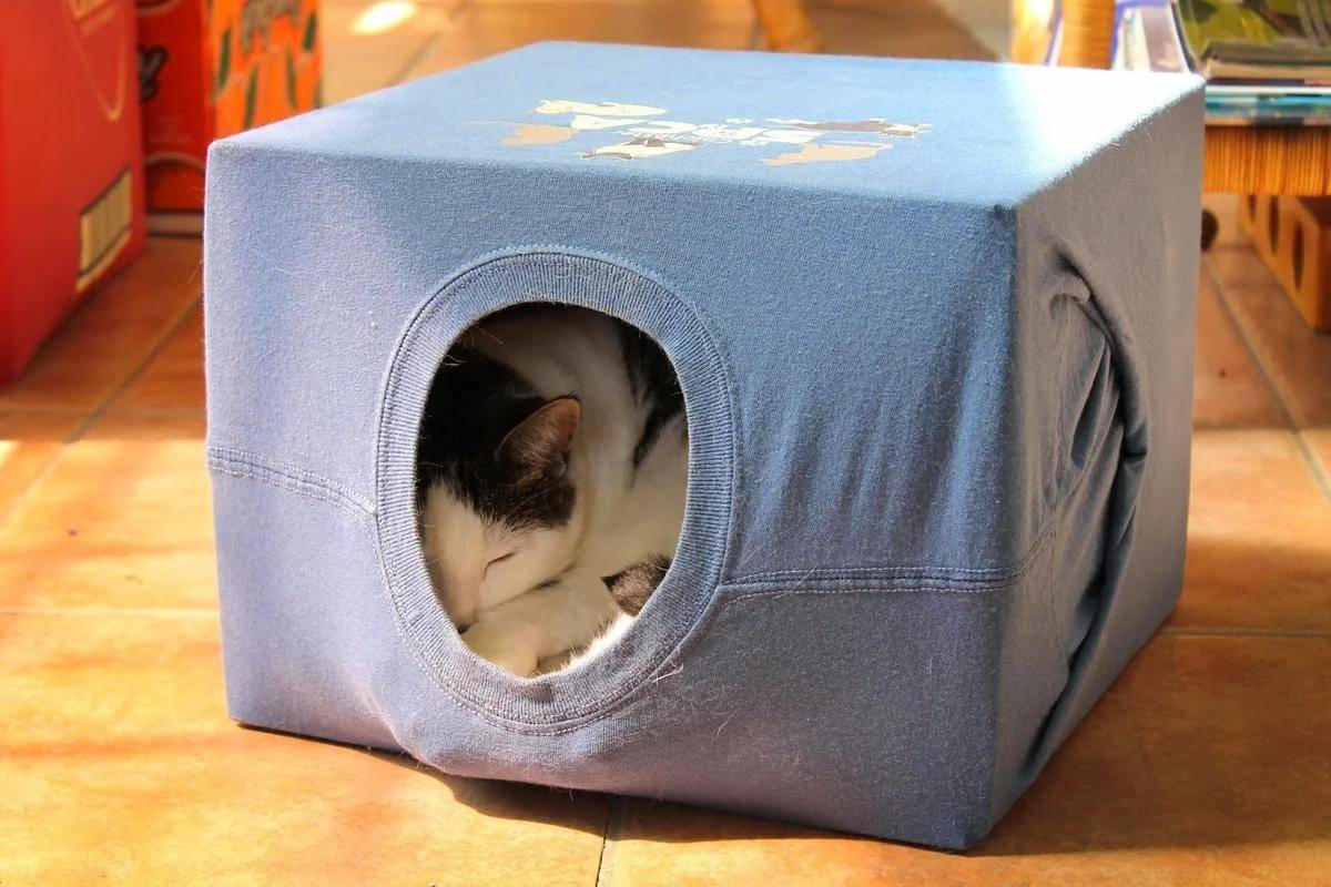 Как сделать домик для кошки из футболки