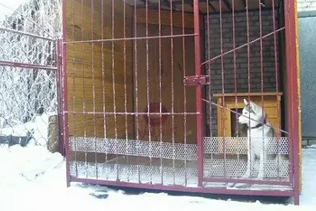 Вольер для лайки, размер будки, созданной своими руками