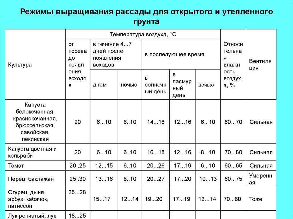 Парник для рассады: все о домашних мини-парниках в квартире, а также правилах выращивания саженцев и цветов в больших и мини тепличках на окне