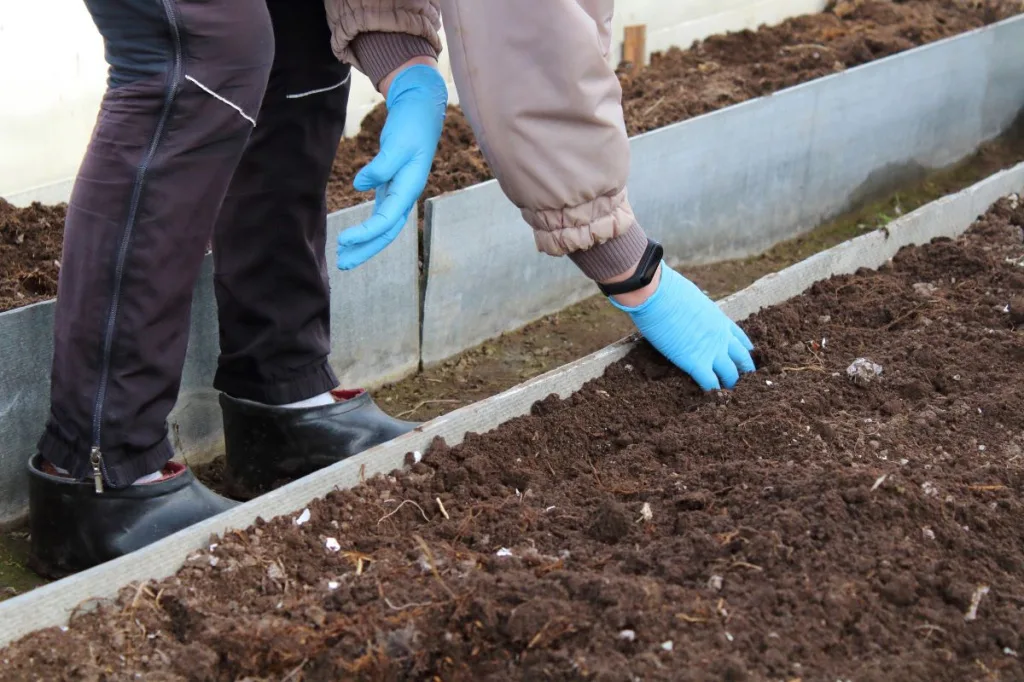 Обработка почвы в теплице весной от вредителей и болезней