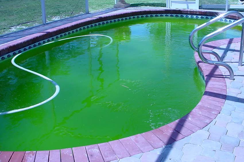 Позеленела вода в бассейне после хлорирования: почему зеленеет после добавления хлора, как решить и предотвратить проблему? | house-fitness.ru
