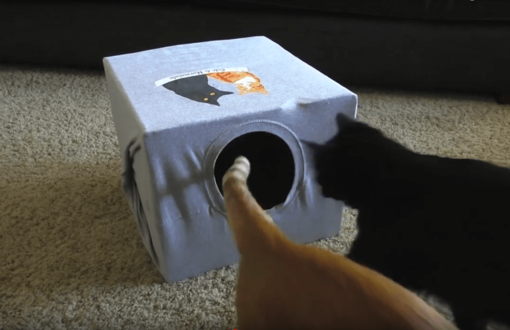 Дом для кошки и лежанки своими руками – мастер-класс