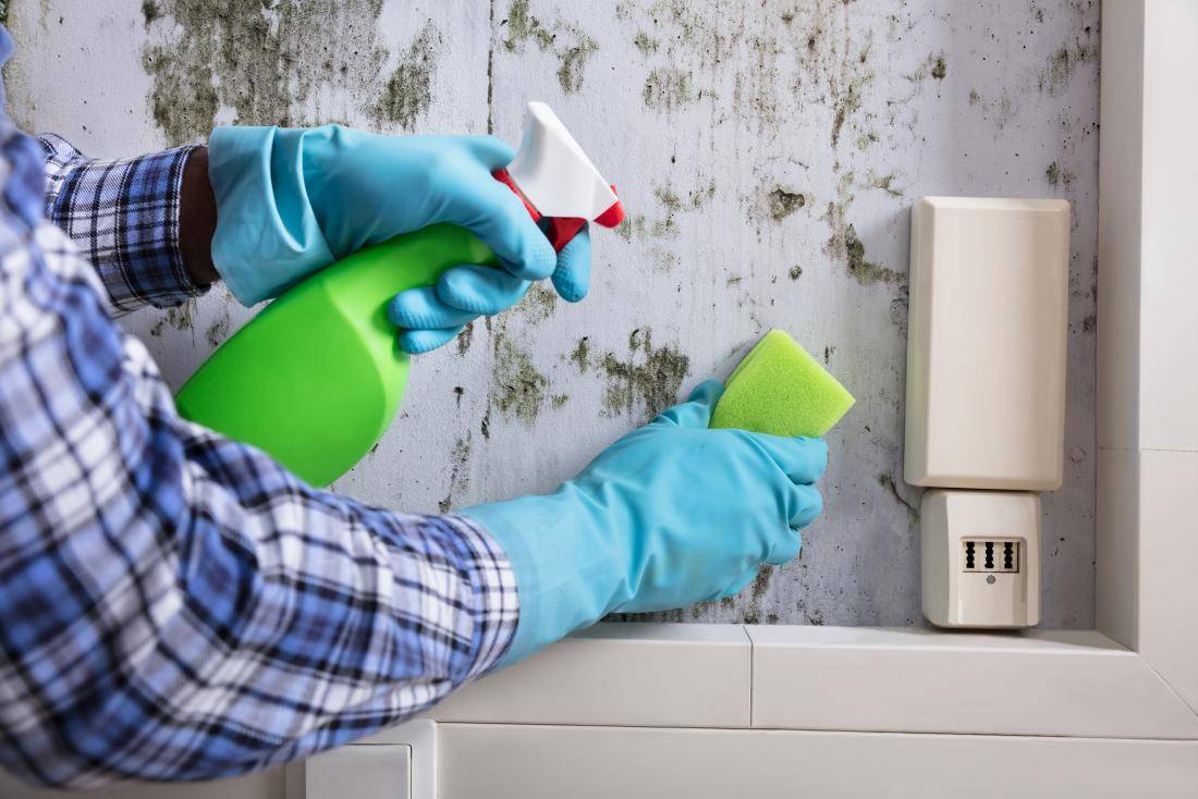 Как устранить запах краски после ремонта?