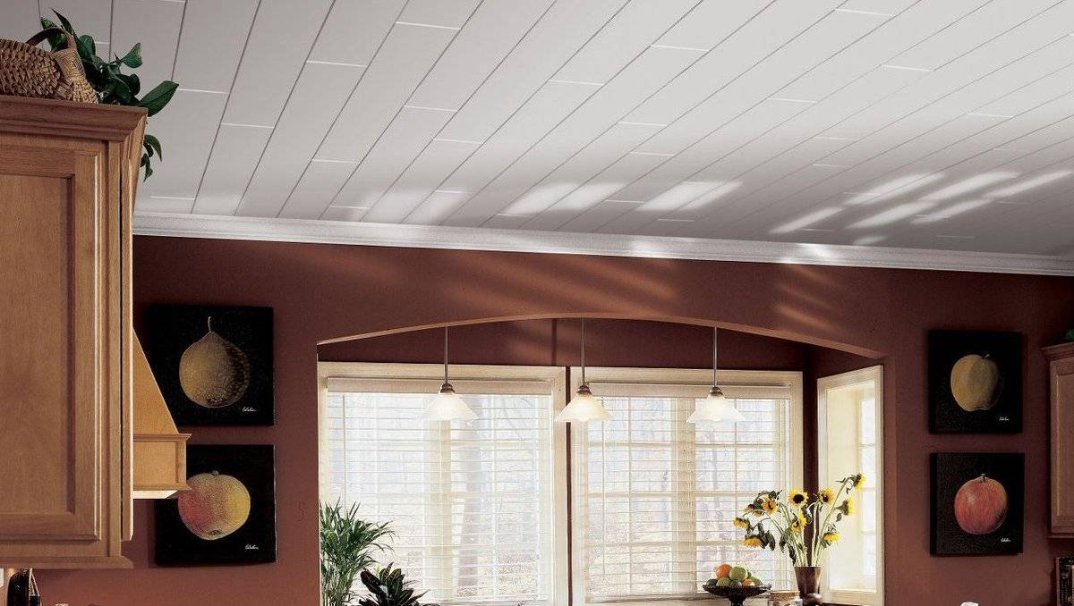Потолочные панели для кухни, особенности пластикового материала, установка конструкции для потолка, правила монтажа