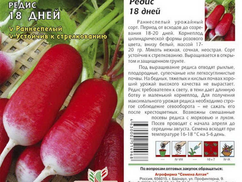 Как и когда сажать редис в открытый грунт и теплицу в 2023 году: благоприятные дни, сорта редиса