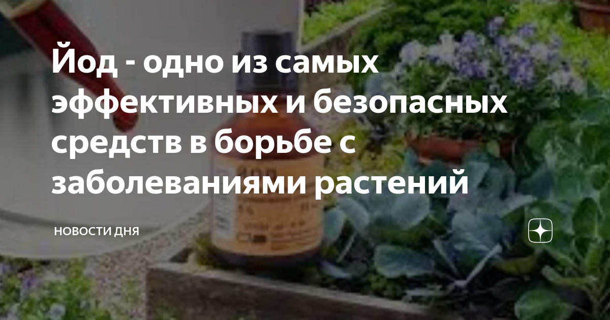 Слизни: как избавиться от них на участке или в квартире навсегда с помощью народных и других средств