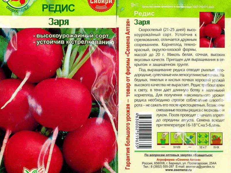 Лучшие сорта редиса - более 25 сортов с описанием