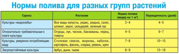 Как часто поливать перец в теплице: гайд по правильному поливу для высокой урожайности