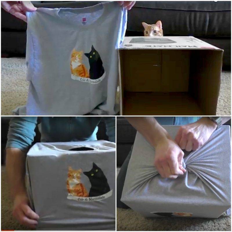 Как сделать домик для кошки своими руками: из картонной коробки, футболки и фанеры