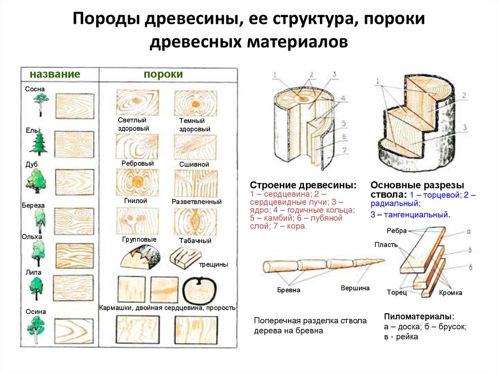 Советы по выбору деревянного дома