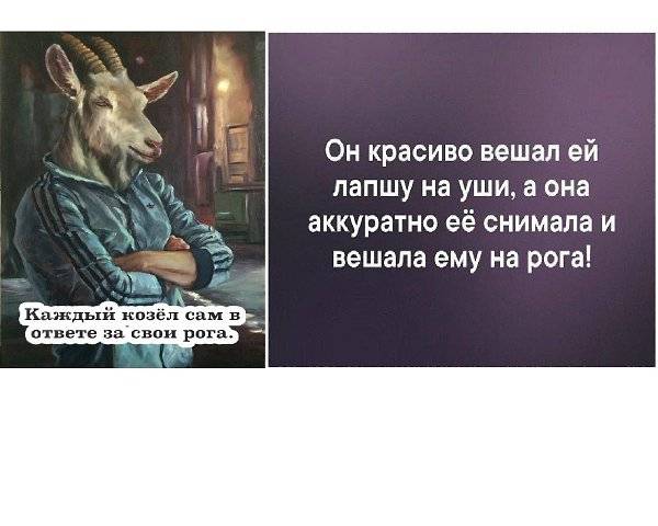 Сказки про теплицы: какую лапшу вешают на уши продавцы