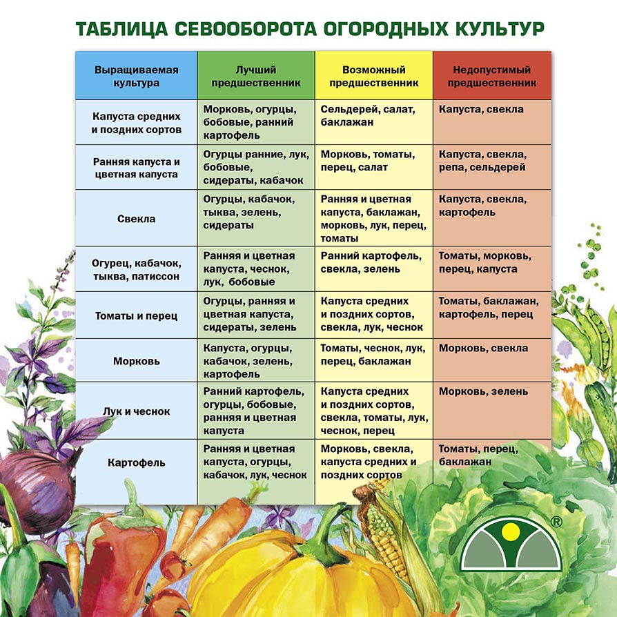 Теплицы и парники