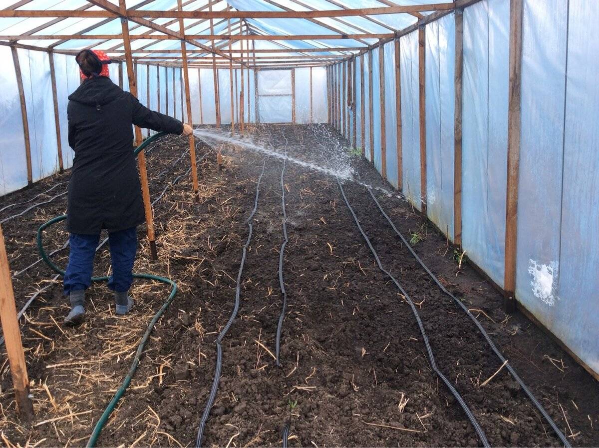 Подготовка почвы в теплице осенью под помидоры - подробное руководство | теплотехники