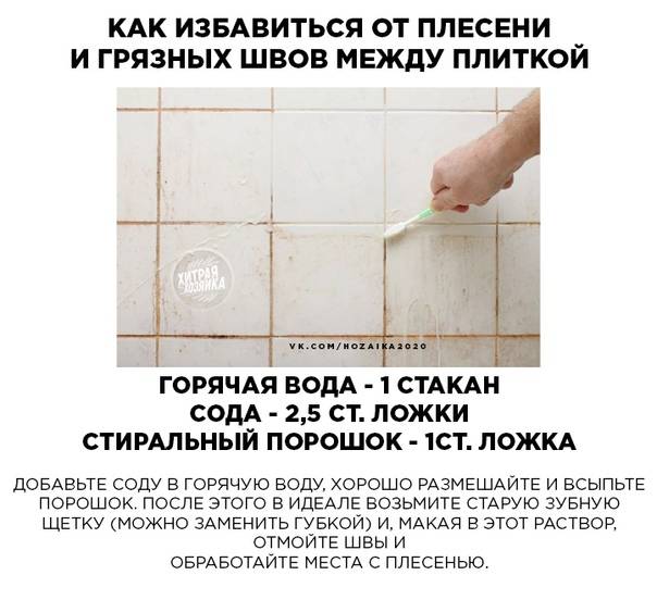 Средство от плесени в ванной комнате - какое эффективно