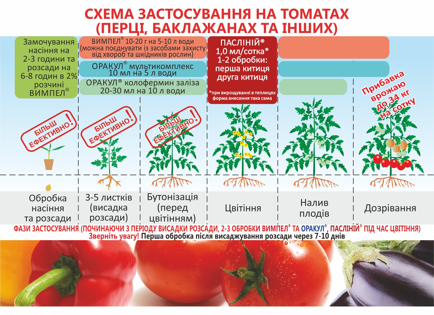 Как ускорить созревание томатов в теплице: простые решения