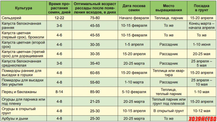 Пересадка рассады помидор в апреле по лунному календарю 2023 года в теплицу и открытый грунт для отдельных регионов