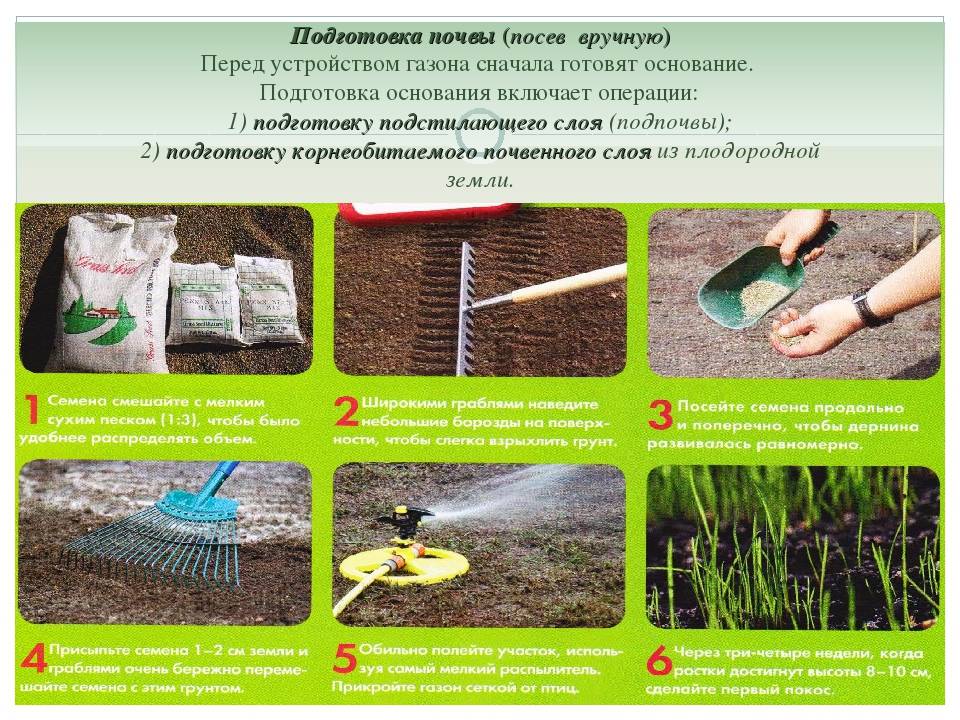 Подготовка почвы под газон и правильная посадка газона – базовые этапы обустройства территории