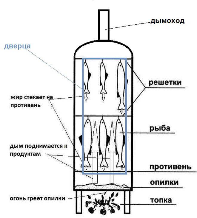 Коптильня из газового баллона своими руками: чертежи и схемы