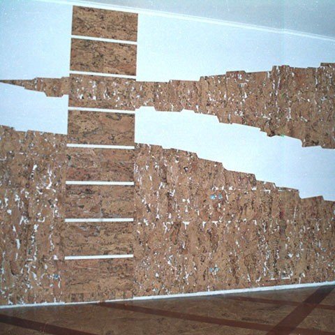 Пробковые панели для стен: стеновые плиты в леруа мерлен, листы для внутренней отделки из пробки, как клеить