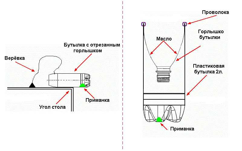 Изготовление мышеловки из пластиковой бутылки + видео