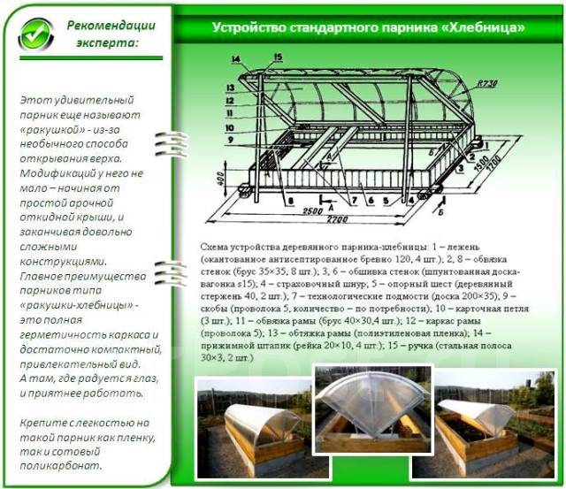 Парник бабочка 4м с поликарбонатом: фото, как собрать своими руками, чертежи, размеры, отзывы (отличный или ужасный)