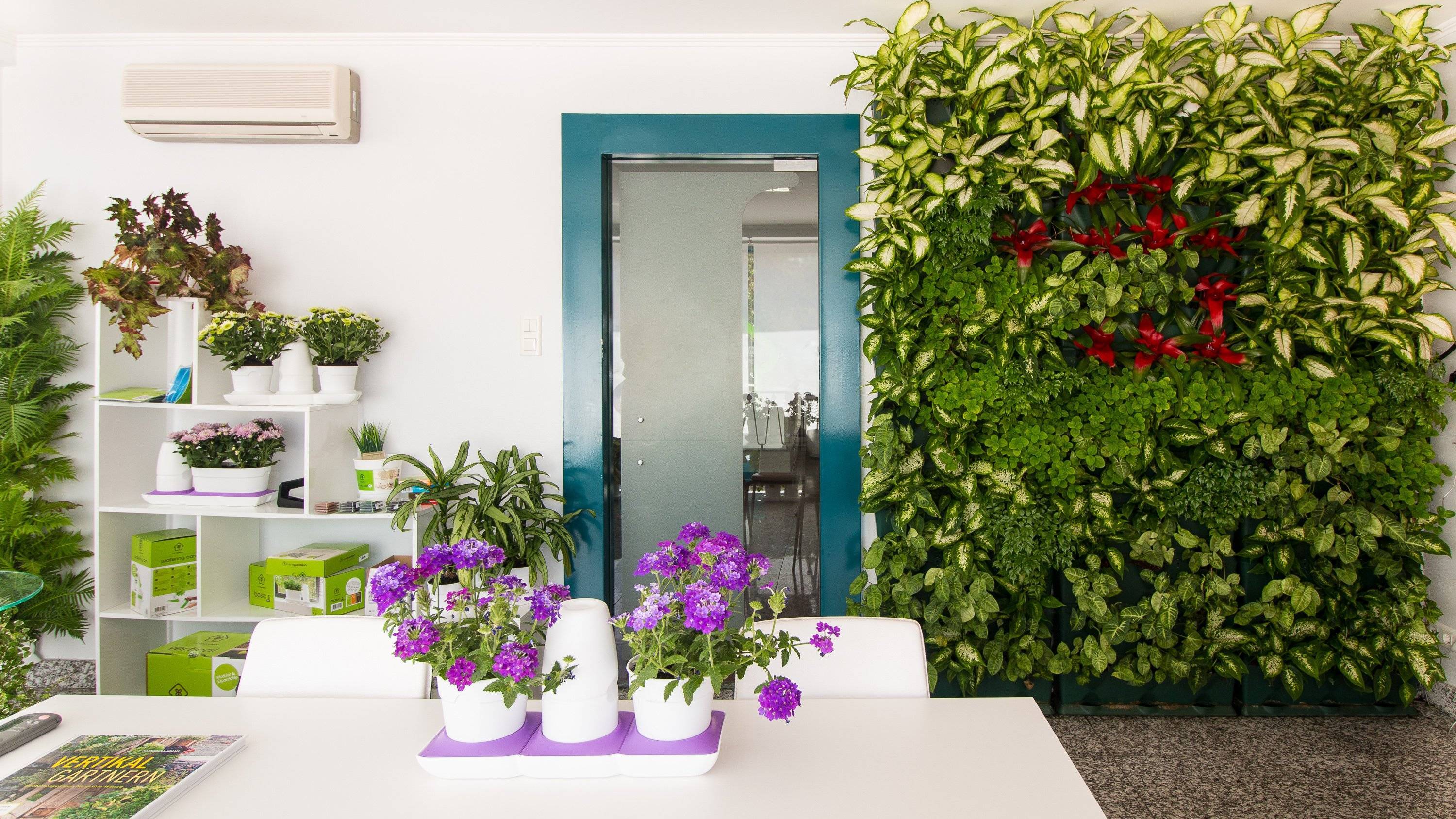 Цветущие стены: правила оформления зелёных зон в квартире