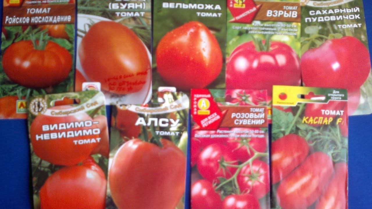 Сорта томатов для теплиц