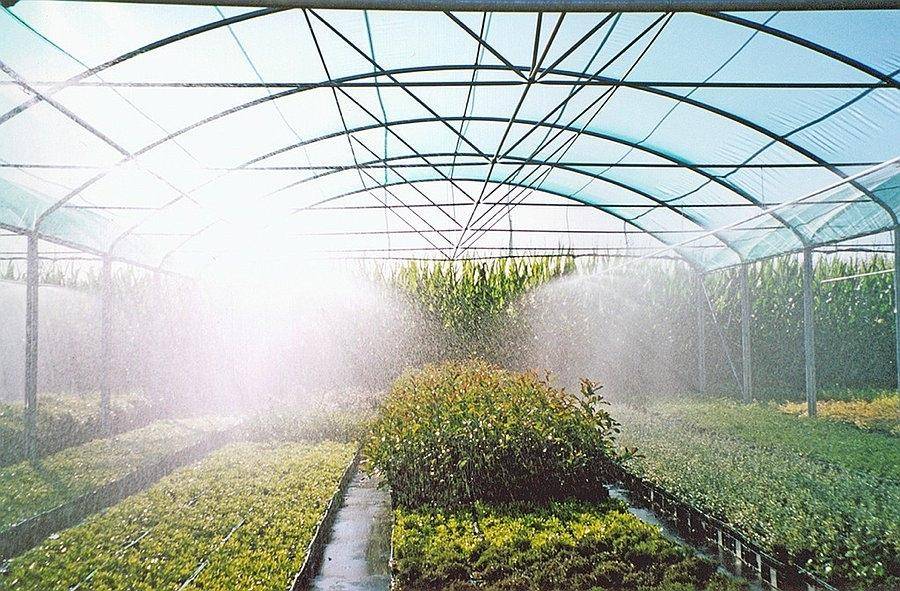 Туманообразователь для теплиц: как выбрать или собрать своими руками, отзывы садоводов