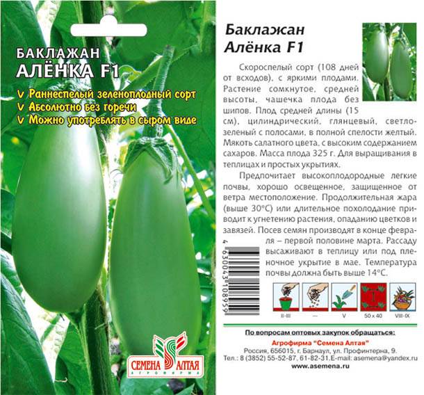 Выращивание баклажанов в подмосковье в теплице и открытом грунте