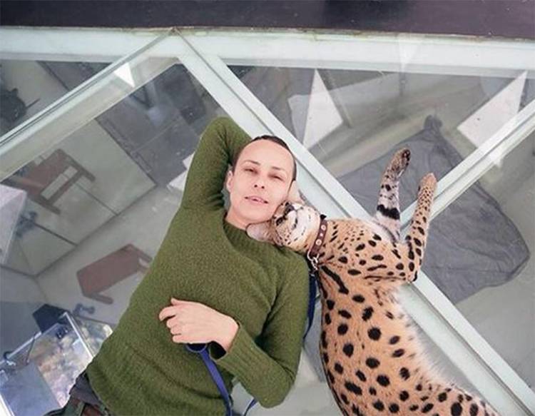 Где живёт юлия чичерина: расположение, проект, строительство, отделка, окна, обустройство