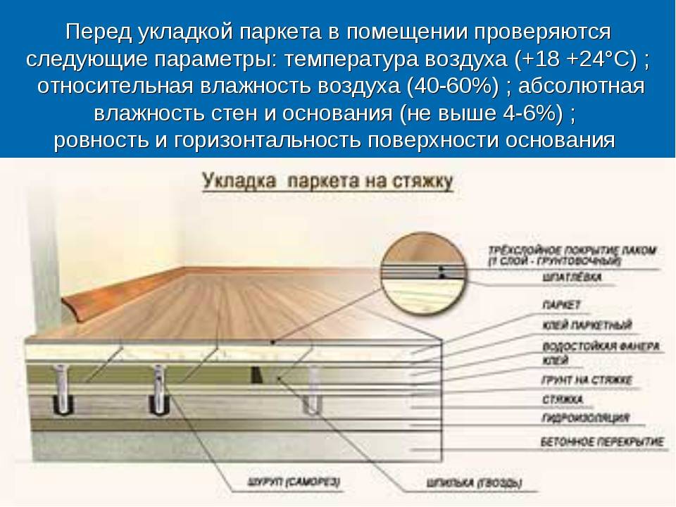 Массивная доска, укладка массива на фанеру, на стяжку, клей, как уложить. монтаж, технология, способы