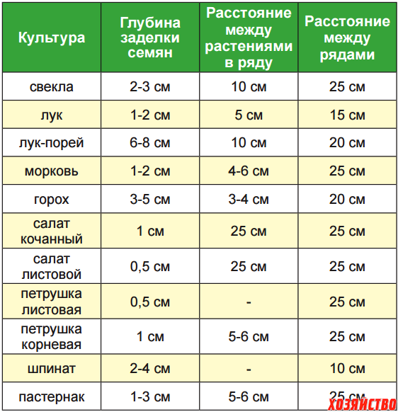 Рассада огурцов — 7 простых способов выращивания в домашних условиях