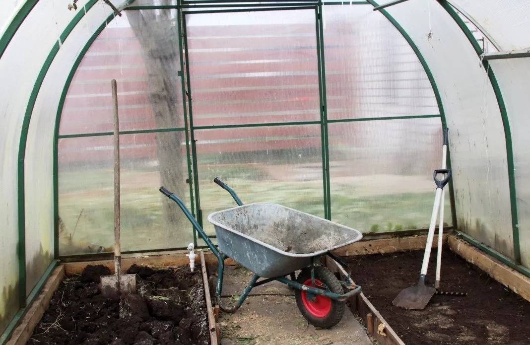 Выращивание овощей в теплице: что и когда можно посадить в закрытый грунт в 2023 году на гудгрунт