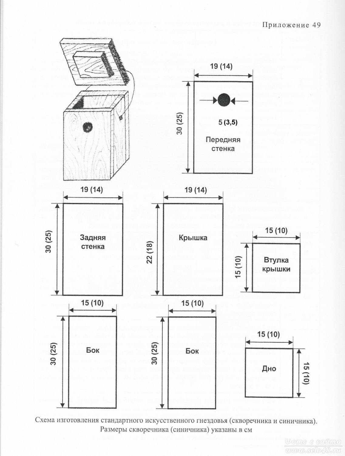 Скворечник своими руками из дерева чертежи с размерами фото